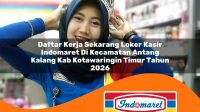 daftar kerja sekarang loker kasir indomaret di kecamatan antang kalang kab kotawaringin timur tahun 2026 1763233290