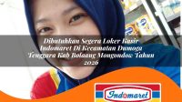 dibutuhkan segera loker kasir indomaret di kecamatan dumoga tenggara kab bolaang mongondow tahun 2026 1763274702