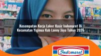 kesempatan kerja loker kasir indomaret di kecamatan yiginua kab lanny jaya tahun 2026 1763282374