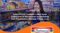 loker fresh graduate loker kasir indomaret di kecamatan serambakon kab pegunungan bintang tahun 2026 1762980930