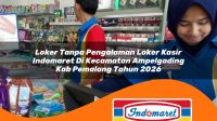 loker tanpa pengalaman loker kasir indomaret di kecamatan ampelgading kab pemalang tahun 2026 1763246484
