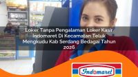 loker tanpa pengalaman loker kasir indomaret di kecamatan teluk mengkudu kab serdang bedagai tahun 2026 1763090998