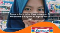 peluang kerja loker kasir indomaret di kecamatan bataguh kab kapuas tahun 2026 1763227459