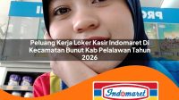 peluang kerja loker kasir indomaret di kecamatan bunut kab pelalawan tahun 2026 1763388273