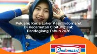 peluang kerja loker kasir indomaret di kecamatan cibitung kab pandeglang tahun 2026 1763300548