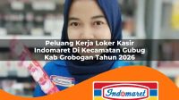 peluang kerja loker kasir indomaret di kecamatan gubug kab grobogan tahun 2026 1763155402