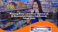 peluang kerja loker kasir indomaret di kecamatan omukia kab puncak tahun 2026 1763294307